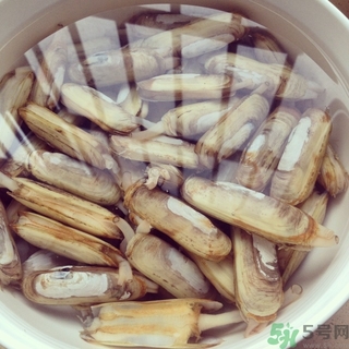 蟶子可以吃哪些部位？蟶子哪些部位不能吃？