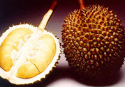 榴蓮肉怎么保存？榴蓮肉的保存方法