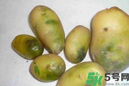 土豆發(fā)綠還能吃嗎？土豆發(fā)綠皮削皮后能吃嗎？