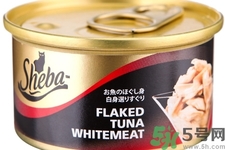 罐頭食品有哪些？罐頭食品含防腐劑嗎？