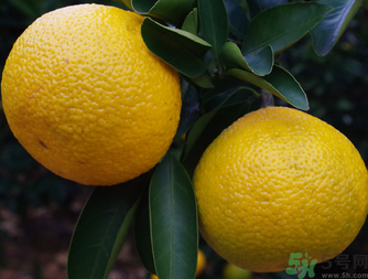 吃桔子有什么好處和壞處？桔子吃了有什么好處？