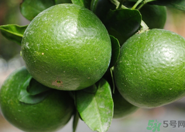 孕婦可以吃桔子嗎？孕婦能吃桔子嗎？