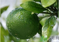 孕婦吃桔子好嗎？孕婦吃桔子有什么好處？