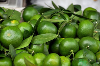 青桔子可以吃嗎？吃青桔子有好處嗎？