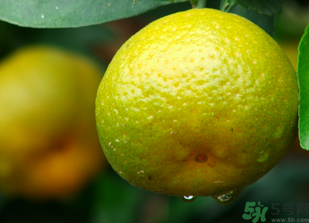 青桔子可以吃嗎？吃青桔子有好處嗎？