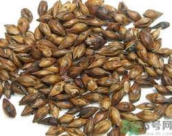 炒麥芽回奶怎么吃?炒麥芽的功效與作用 炒麥芽回奶怎么吃?炒麥芽的功效與作用