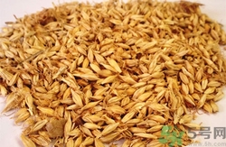 炒麥芽回奶怎么吃?炒麥芽的功效與作用 炒麥芽回奶怎么吃?炒麥芽的功效與作用