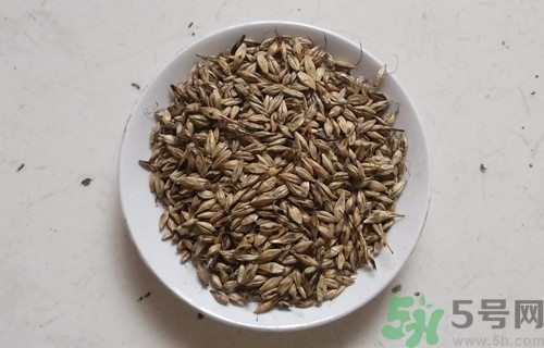 炒麥芽回奶怎么吃?炒麥芽的功效與作用 炒麥芽回奶怎么吃?炒麥芽的功效與作用