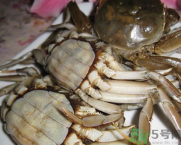 河蟹可以冷凍嗎？活河蟹可以冷凍保存嗎？