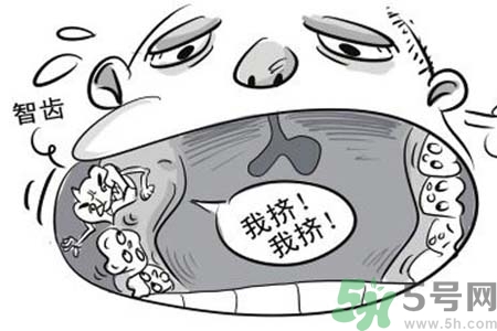 智齒拔完后有個(gè)洞怎么辦？拔智齒后有個(gè)洞多久能長(zhǎng)好？