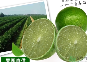 泰國(guó)檸檬怎么吃？泰國(guó)檸檬的功效作用