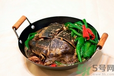 剛死的甲魚(yú)可以吃嗎?甲魚(yú)死了多久不能吃 剛死的甲魚(yú)可以吃嗎?甲魚(yú)死了多久不能吃