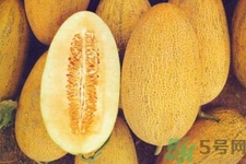 便秘可以吃哈密瓜嗎？哈密瓜可以治療便秘嗎？