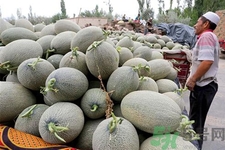 便秘可以吃哈密瓜嗎？哈密瓜可以治療便秘嗎？