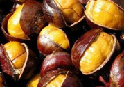 孕婦吃生板栗好還是熟的好？孕婦可以吃熟板栗嗎？