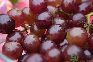 吃葡萄不吐葡萄皮好嗎？葡萄皮的功效與作用