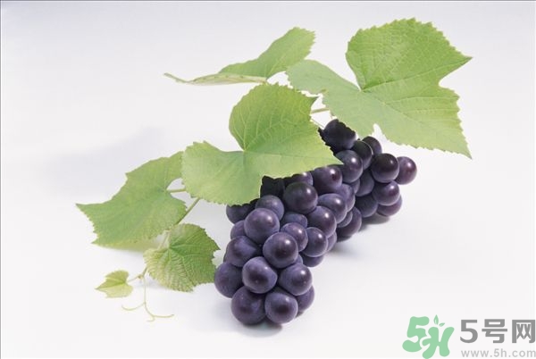 吃葡萄不吐葡萄皮好嗎？葡萄皮的功效與作用