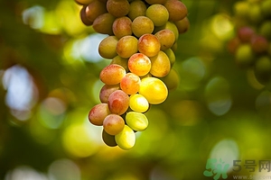 葡萄酒怎么做好喝？葡萄酒的功效與作用
