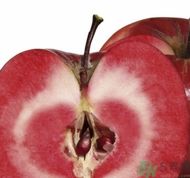 紅肉蘋果多少錢一斤？紅肉蘋果的功效作用