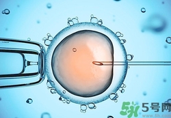 試管嬰兒要多少錢？做試管嬰兒痛苦嗎