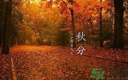 秋分做什么運(yùn)動(dòng)好？秋分運(yùn)動(dòng)注意事項(xiàng)