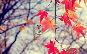 秋分做什么運(yùn)動(dòng)好？秋分運(yùn)動(dòng)注意事項(xiàng)