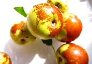 吃新鮮棗子會(huì)胖嗎？吃新鮮棗子會(huì)長(zhǎng)胖嗎？