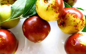 吃新鮮棗子會(huì)胖嗎？吃新鮮棗子會(huì)長(zhǎng)胖嗎？