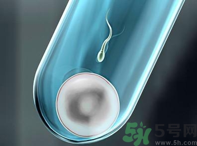 做試管嬰兒要多長時(shí)間？做試管嬰兒可以選擇性別？