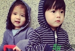 龍鳳胎是怎么形成的？試管嬰兒能做龍鳳胎嗎？