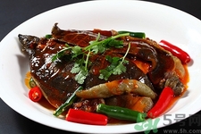 剛死的甲魚(yú)可以吃嗎?甲魚(yú)死了多久不能吃 剛死的甲魚(yú)可以吃嗎?甲魚(yú)死了多久不能吃