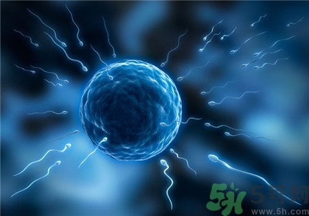 做試管嬰兒要多長時(shí)間？做試管嬰兒可以選擇性別？