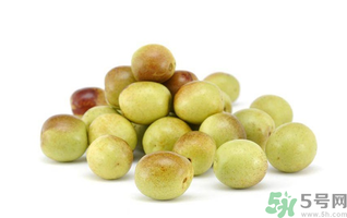 鮮棗可以冷凍保存嗎？鮮棗可以放冰箱嗎？