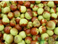 冬棗可以冷凍嗎？冬棗可以曬干保存嗎？