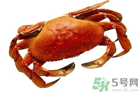 10月份吃螃蟹好嗎？10月份吃什么螃蟹？