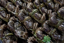 活螃蟹怎么做？活螃蟹怎么做好吃？