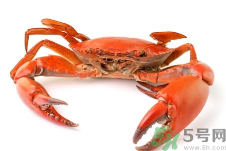 10月吃陽澄湖大閘蟹好嗎？大閘蟹怎么做好吃？