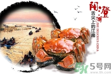陽澄湖大閘蟹口感怎么樣？如何辨別真假陽澄湖大閘蟹？