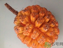 山菠蘿怎么吃？山菠蘿的功效與作用