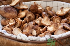 吃蘑菇會上火嗎?吃蘑菇上火怎么辦呢 吃蘑菇會上火嗎?吃蘑菇上火怎么辦呢