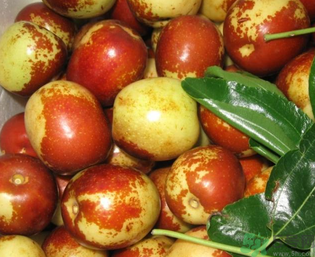 吃鮮棗的好處和壞處？吃鮮棗有什么好處？