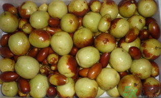 吃青棗子會(huì)胖嗎？青棗子吃多了會(huì)胖嗎？