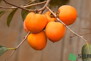 柿子和螃蟹一起吃有毒嗎？柿子不能和什么同食？