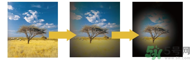 青光眼可以治愈嗎？青光眼怎樣治療？