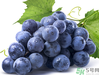 新鮮葡萄怎么保存？新鮮葡萄怎么保鮮？