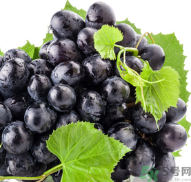 新鮮葡萄怎么保存？新鮮葡萄怎么保鮮？