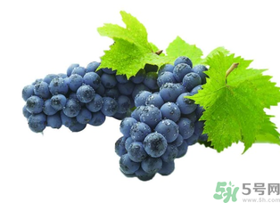 新鮮葡萄能放冰箱嗎？新鮮葡萄的保存方法