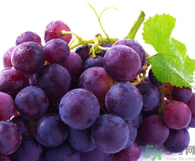 新鮮葡萄能放冰箱嗎？新鮮葡萄的保存方法