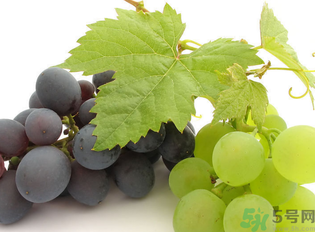 新鮮葡萄籽可以吃嗎？葡萄籽有什么作用？