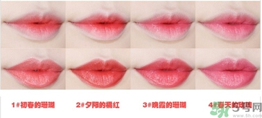 悅詩風吟水韻凝采唇膏價格 悅詩風吟水韻凝采唇膏怎么用？